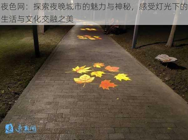 夜色网：探索夜晚城市的魅力与神秘，感受灯光下的生活与文化交融之美