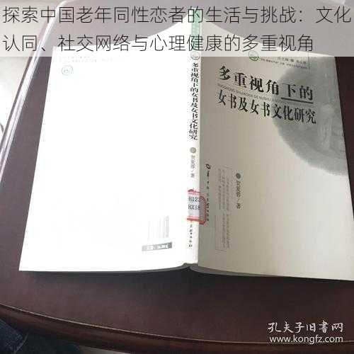 探索中国老年同性恋者的生活与挑战：文化认同、社交网络与心理健康的多重视角