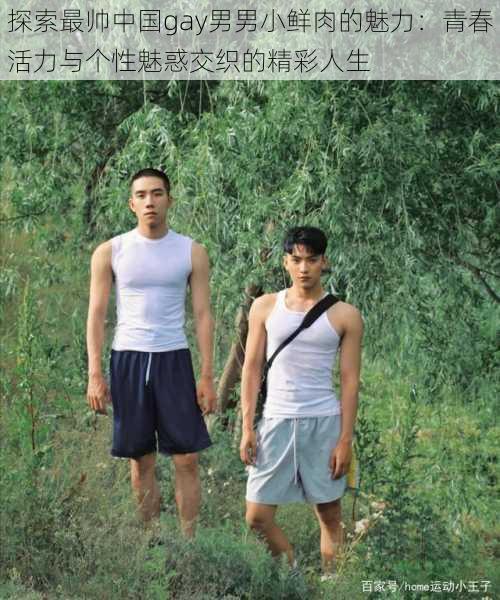 探索最帅中国gay男男小鲜肉的魅力:青春活力与个性魅惑交织的精彩人生