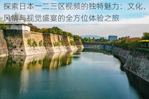 探索日本一二三区视频的独特魅力:文化、风情与视觉盛宴的全方位体验之旅