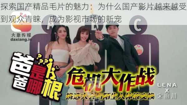 探索国产精品毛片的魅力:为什么国产影片越来越受到观众青睐,成为影视市场的新宠