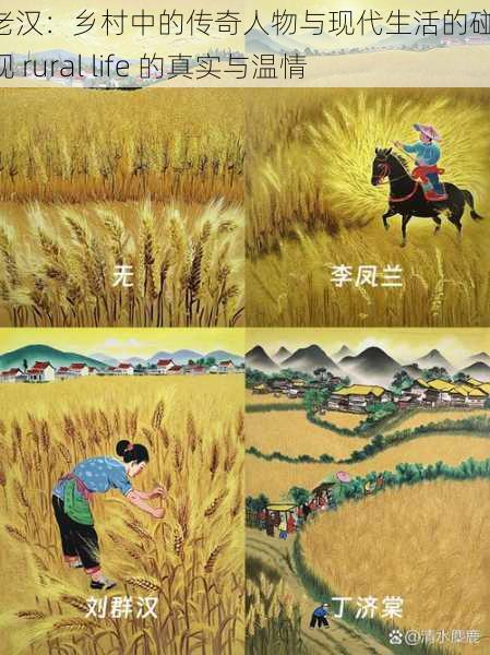 卫老汉:乡村中的传奇人物与现代生活的碰撞,展现 rural life 的真实与温情