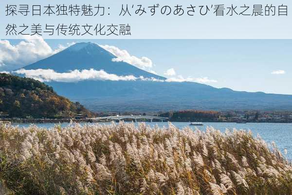 探寻日本独特魅力：从‘みずのあさひ’看水之晨的自然之美与传统文化交融