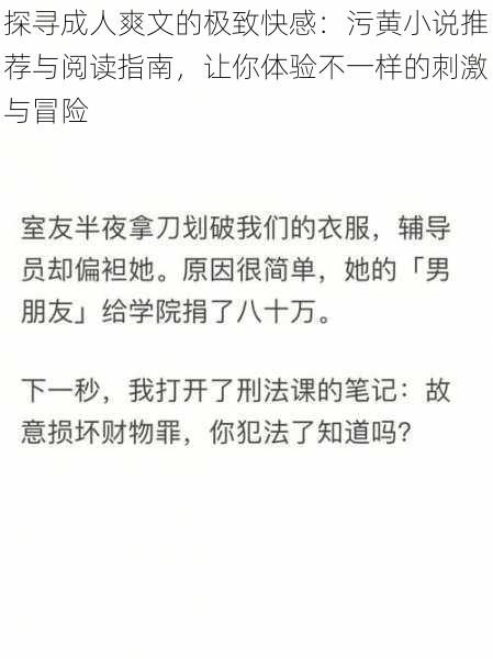 探寻成人爽文的极致快感：污黄小说推荐与阅读指南，让你体验不一样的刺激与冒险