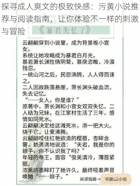 探寻成人爽文的极致快感：污黄小说推荐与阅读指南，让你体验不一样的刺激与冒险