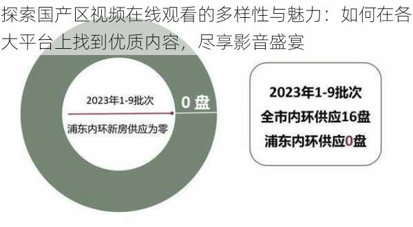 探索国产区视频在线观看的多样性与魅力：如何在各大平台上找到优质内容，尽享影音盛宴