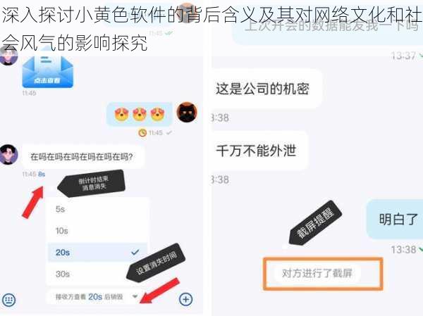 深入探讨小黄色软件的背后含义及其对网络文化和社会风气的影响探究