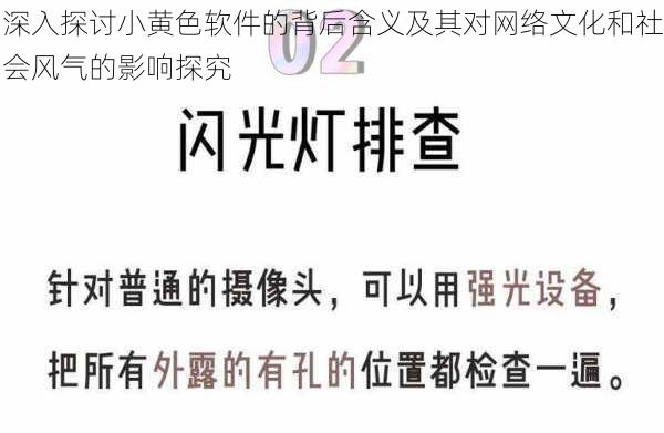 深入探讨小黄色软件的背后含义及其对网络文化和社会风气的影响探究