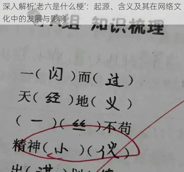 深入解析‘老六是什么梗’：起源、含义及其在网络文化中的发展与影响