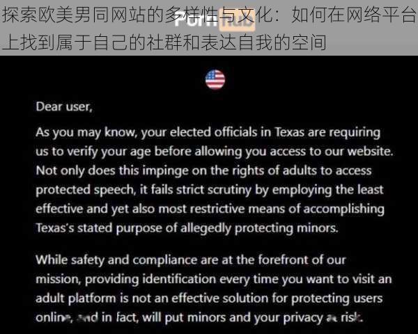 探索欧美男同网站的多样性与文化：如何在网络平台上找到属于自己的社群和表达自我的空间