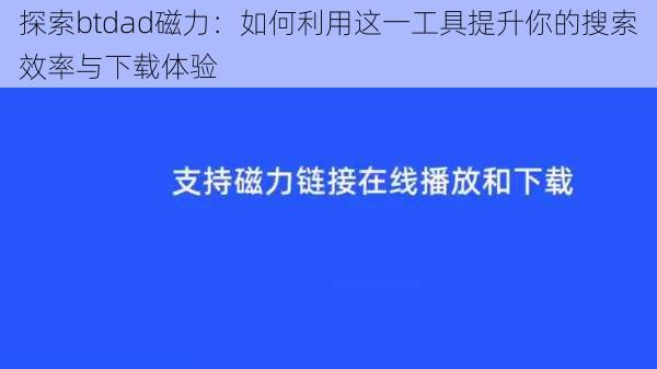 探索btdad磁力：如何利用这一工具提升你的搜索效率与下载体验