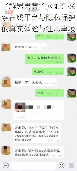 了解男男黄色网址：探索在线平台与隐私保护的真实体验与注意事项