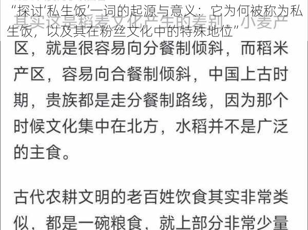 “探讨‘私生饭’一词的起源与意义：它为何被称为私生饭，以及其在粉丝文化中的特殊地位”