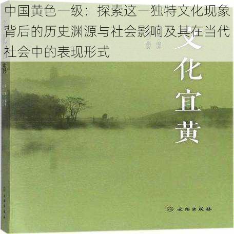 中国黄色一级：探索这一独特文化现象背后的历史渊源与社会影响及其在当代社会中的表现形式