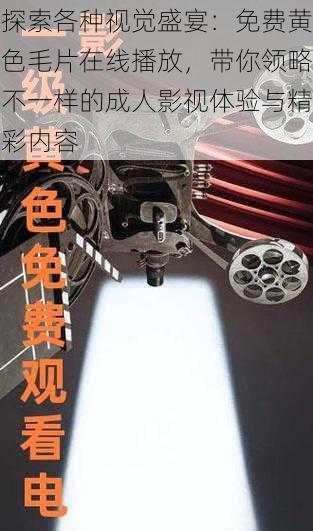 探索各种视觉盛宴：免费黄色毛片在线播放，带你领略不一样的成人影视体验与精彩内容