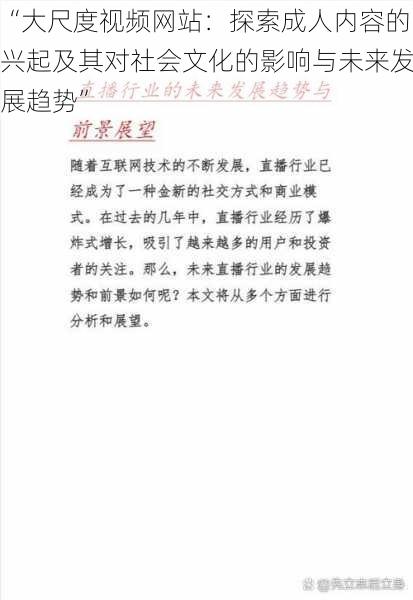 “大尺度视频网站：探索成人内容的兴起及其对社会文化的影响与未来发展趋势”