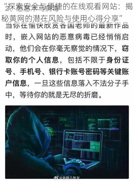 “探索安全与便捷的在线观看网站：揭秘黄网的潜在风险与使用心得分享”