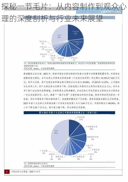 探秘一节毛片：从内容制作到观众心理的深度剖析与行业未来展望