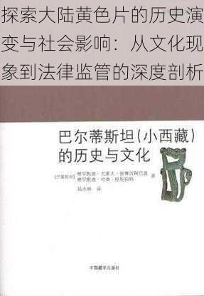 探索大陆黄色片的历史演变与社会影响：从文化现象到法律监管的深度剖析