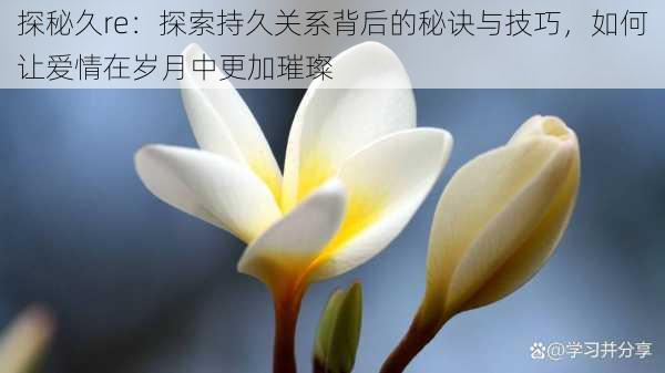 探秘久re:探索持久关系背后的秘诀与技巧,如何让爱情在岁月中更加璀璨