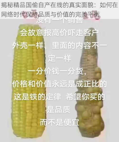 揭秘精品国偷自产在线的真实面貌：如何在网络时代保持品质与价值的完美平衡