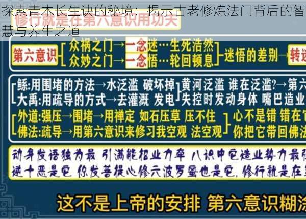 探索青木长生诀的秘境：揭示古老修炼法门背后的智慧与养生之道