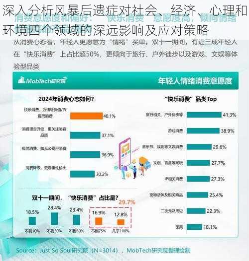 深入分析风暴后遗症对社会、经济、心理和环境四个领域的深远影响及应对策略