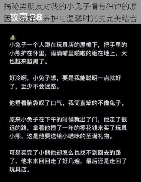 揭秘男朋友对我的小兔子情有独钟的原因：爱好、养护与温馨时光的完美结合