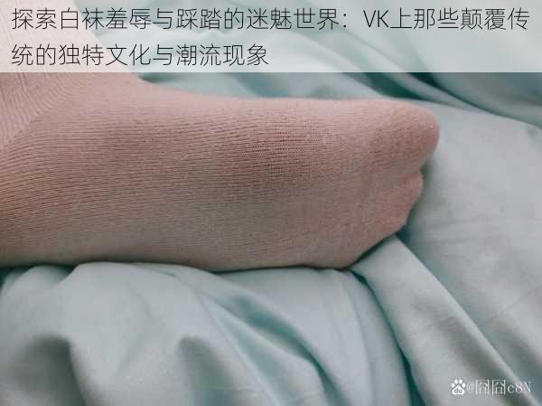 探索白袜羞辱与踩踏的迷魅世界：VK上那些颠覆传统的独特文化与潮流现象