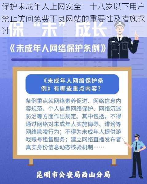 保护未成年人上网安全：十八岁以下用户禁止访问免费不良网站的重要性及措施探讨