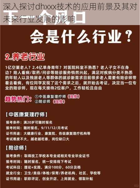 深入探讨dhxxx技术的应用前景及其对未来行业发展的影响