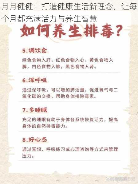 月月健健：打造健康生活新理念，让每个月都充满活力与养生智慧