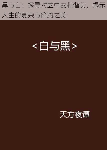 黑与白：探寻对立中的和谐美，揭示人生的复杂与简约之美