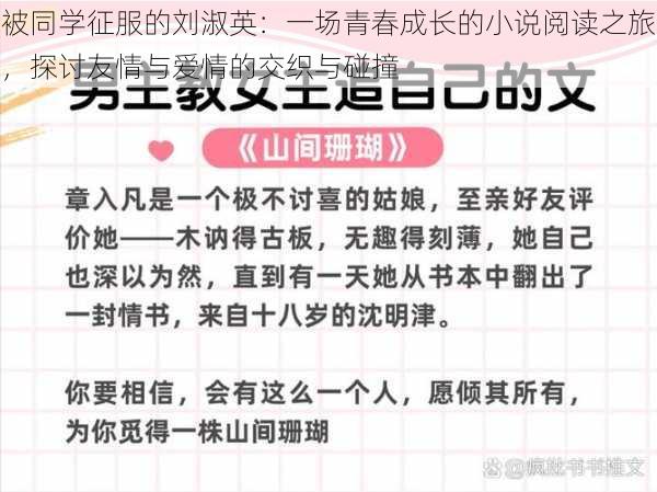 被同学征服的刘淑英：一场青春成长的小说阅读之旅，探讨友情与爱情的交织与碰撞