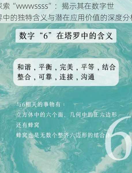 探索“wwwssss”：揭示其在数字世界中的独特含义与潜在应用价值的深度分析