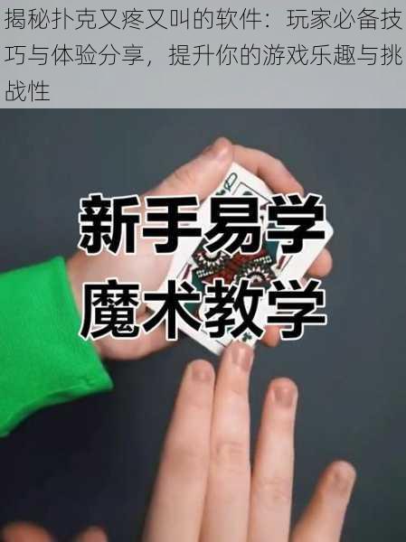 揭秘扑克又疼又叫的软件：玩家必备技巧与体验分享，提升你的游戏乐趣与挑战性