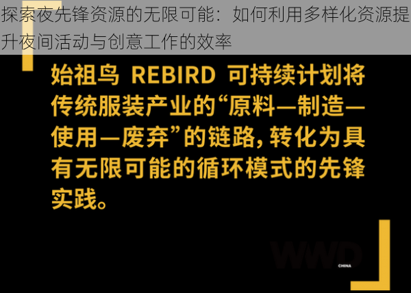 探索夜先锋资源的无限可能：如何利用多样化资源提升夜间活动与创意工作的效率