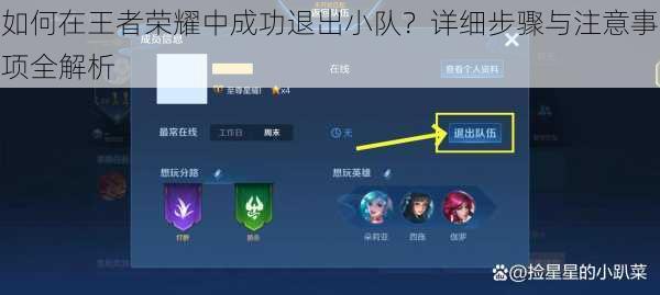 如何在王者荣耀中成功退出小队？详细步骤与注意事项全解析