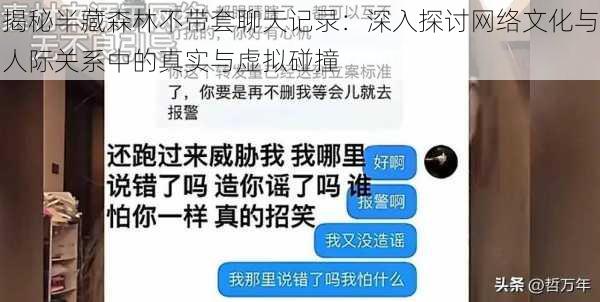 揭秘半藏森林不带套聊天记录：深入探讨网络文化与人际关系中的真实与虚拟碰撞