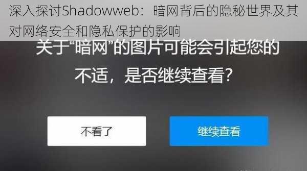 深入探讨Shadowweb：暗网背后的隐秘世界及其对网络安全和隐私保护的影响