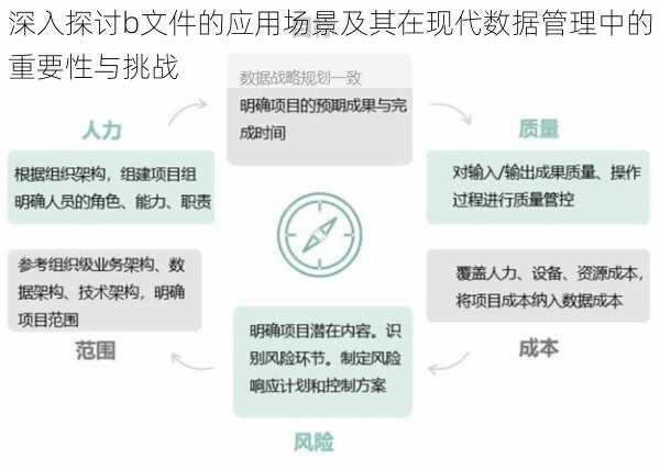 深入探讨b文件的应用场景及其在现代数据管理中的重要性与挑战