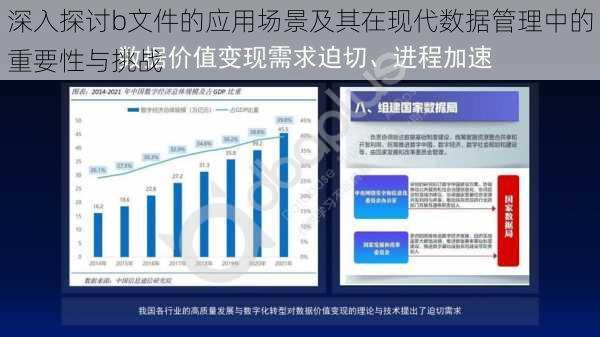 深入探讨b文件的应用场景及其在现代数据管理中的重要性与挑战