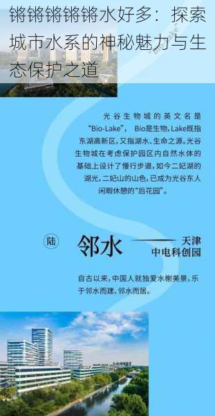 锵锵锵锵锵水好多：探索城市水系的神秘魅力与生态保护之道