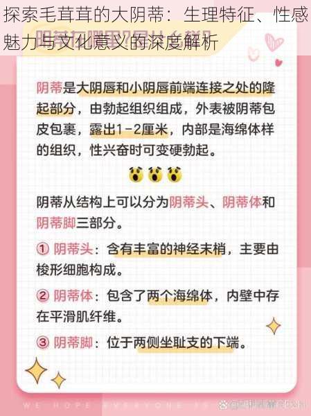 探索毛茸茸的大阴蒂：生理特征、性感魅力与文化意义的深度解析