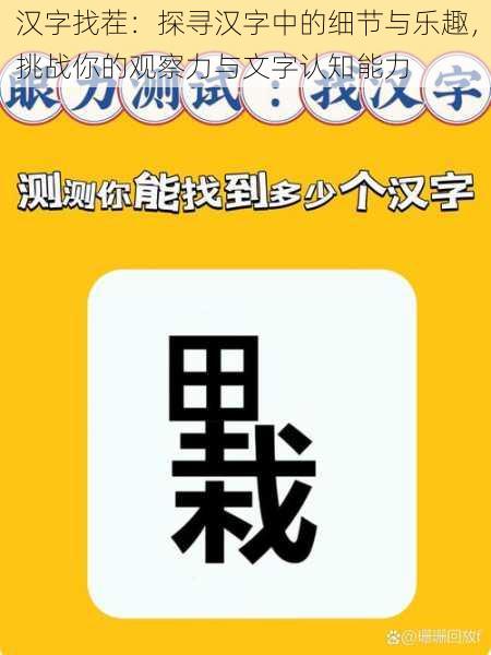 汉字找茬：探寻汉字中的细节与乐趣，挑战你的观察力与文字认知能力