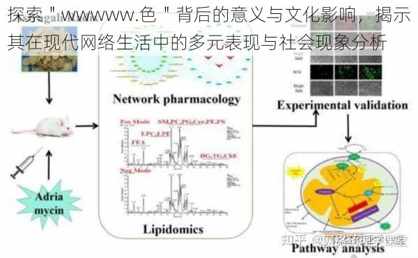 探索＂wwwww.色＂背后的意义与文化影响，揭示其在现代网络生活中的多元表现与社会现象分析