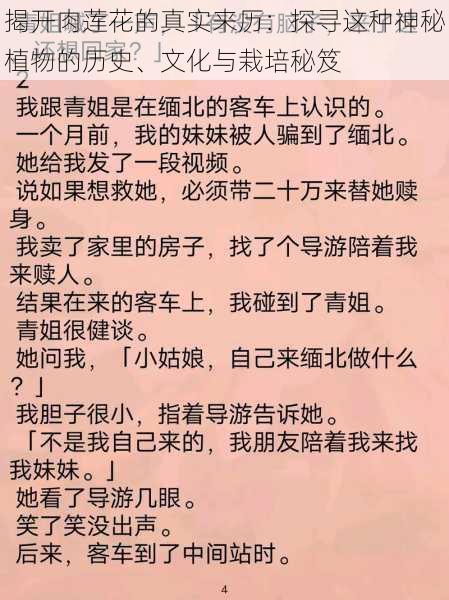 揭开肉莲花的真实来历：探寻这种神秘植物的历史、文化与栽培秘笈