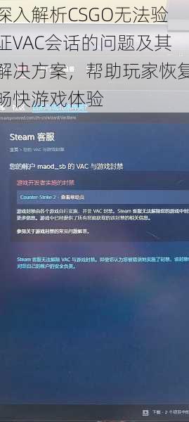 深入解析CSGO无法验证VAC会话的问题及其解决方案，帮助玩家恢复畅快游戏体验