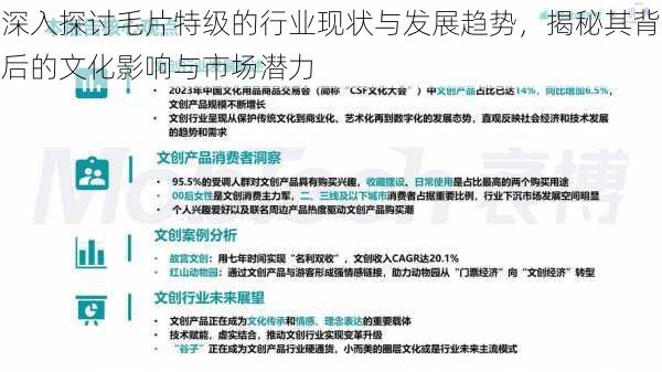 深入探讨毛片特级的行业现状与发展趋势，揭秘其背后的文化影响与市场潜力