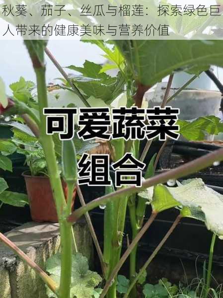 秋葵、茄子、丝瓜与榴莲：探索绿色巨人带来的健康美味与营养价值